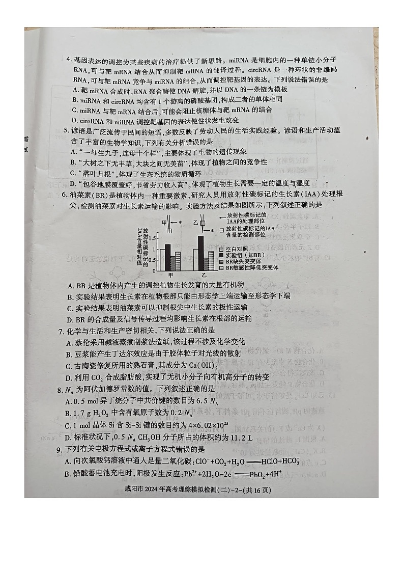 咸阳市2024高考模拟检测(二)理综试题第2页