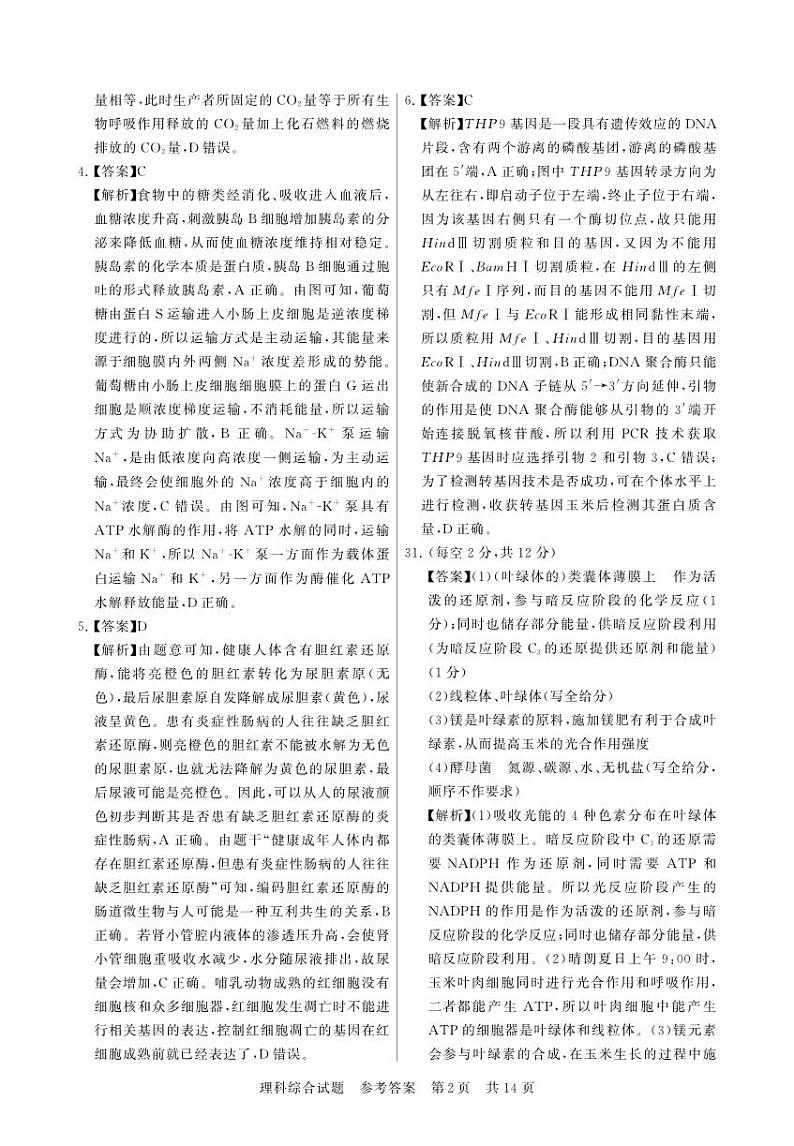 理综答案第2页