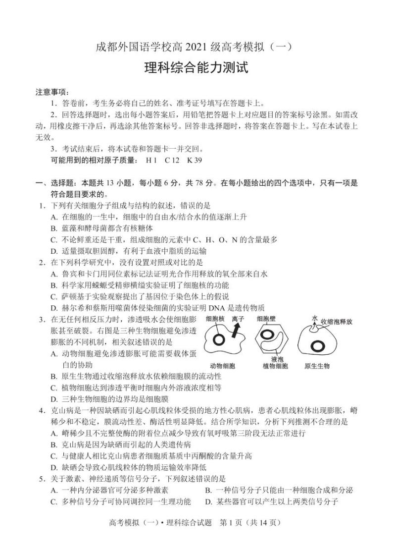 2024届四川省成都外国语学校高三下学期高考模拟（一）考试理综试题01