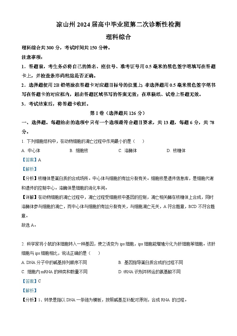 2024届四川省凉山州高三下学期二诊考试理科综合试题-高中生物（原卷版+解析版）01