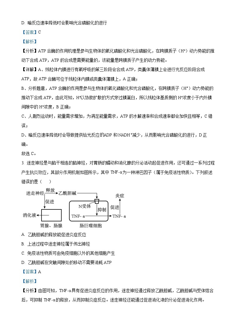 2024届陕西省榆林市高三下学期第二次模拟检测理科综合试题-高中生物（原卷版+解析版）02