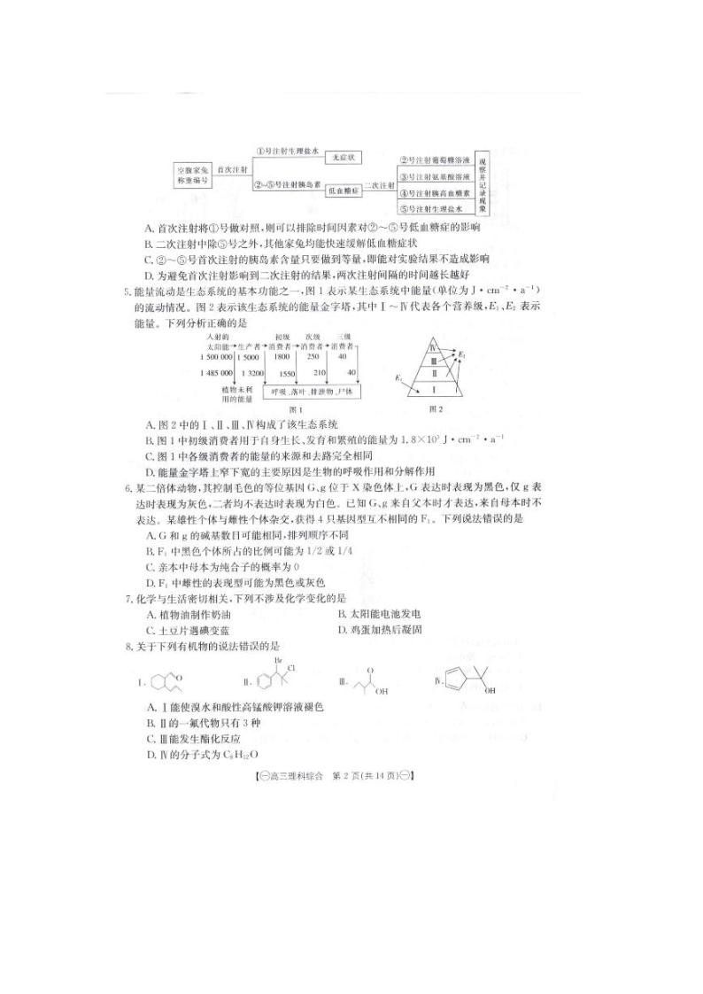 青海省西宁市湟中区2024届高三下学期一模理综试卷（PDF版附答案）02