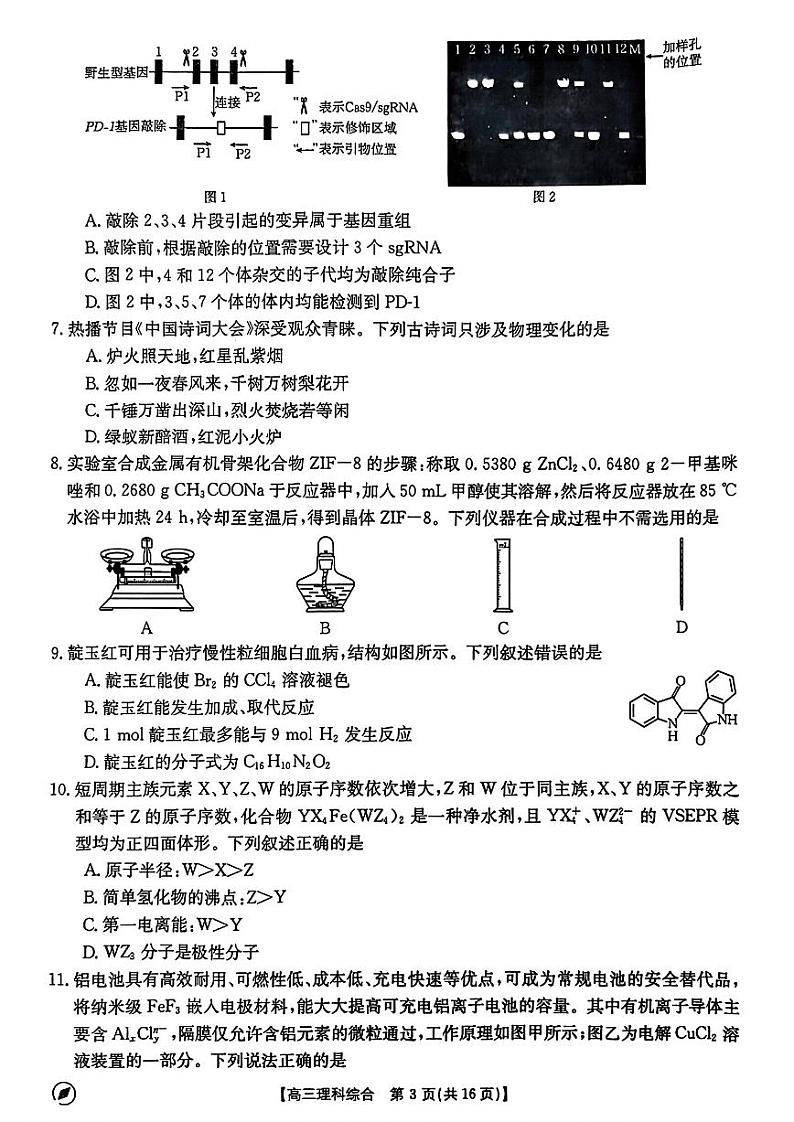 2024届高三河南4月联考 理综试卷第3页