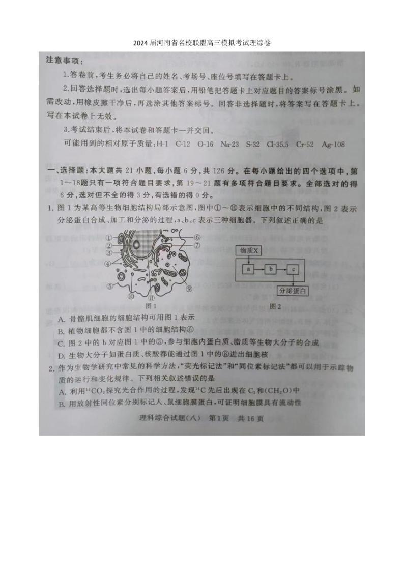 2024届河南省高三名校联盟（T8联盟）模拟信息卷理综试题八01