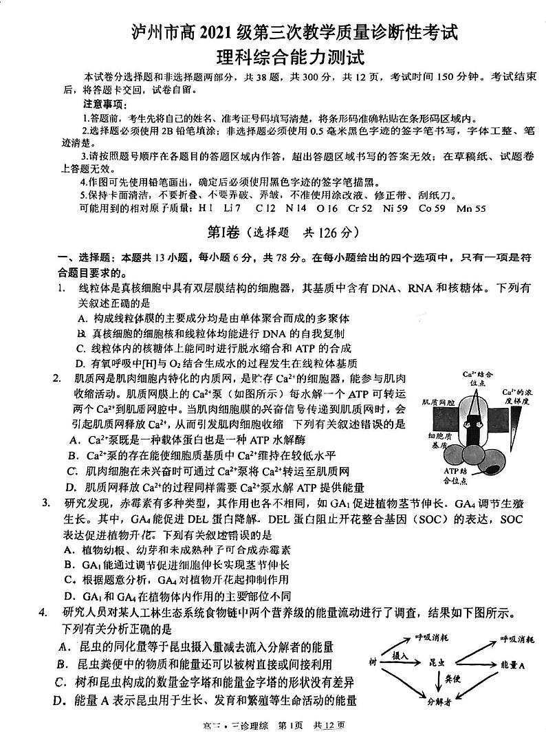 2024届四川省泸州市高三第三次教学质量诊断性考试理综试卷01