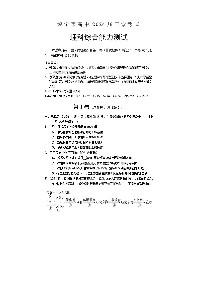 2024遂宁高三下学期三诊考试理综生物含答案01
