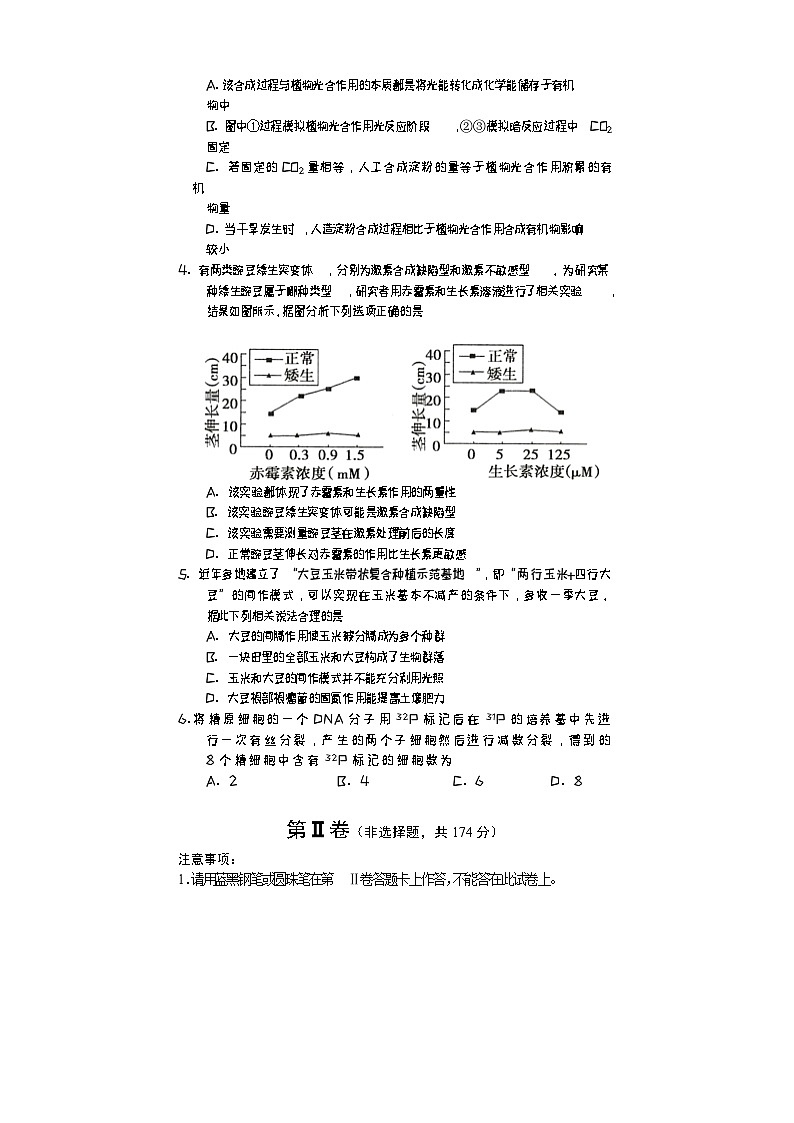 2024遂宁高三下学期三诊考试理综生物含答案02