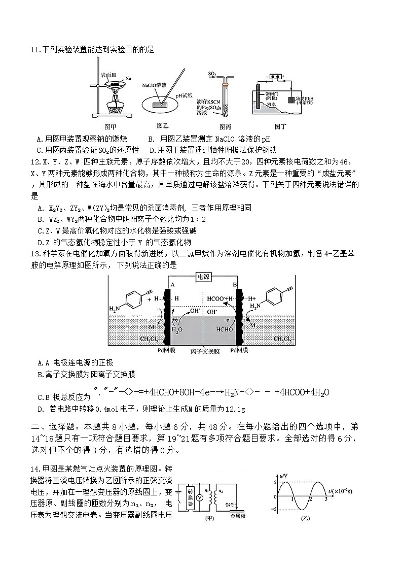 2024届四川省成都市第七中学高三下学期三诊模拟考试理科综合试卷第3页