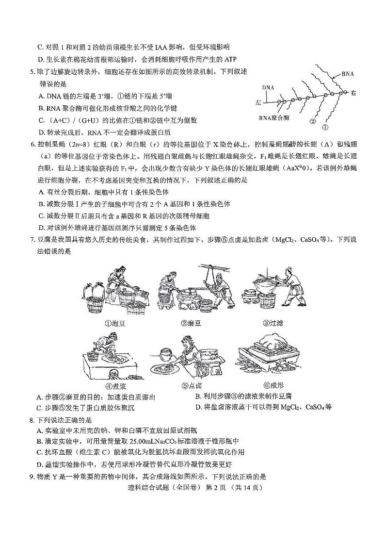陕西省西安市第一中学2024届高三下学期期中考试理综试卷(PDF版附解析)02