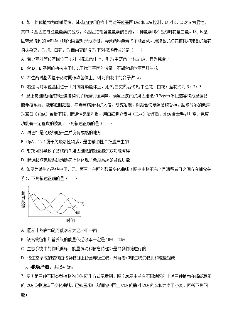 2024届河南省新高考联盟高三下学期模拟预测理综试题-高中生物(原卷版+解析版)02
