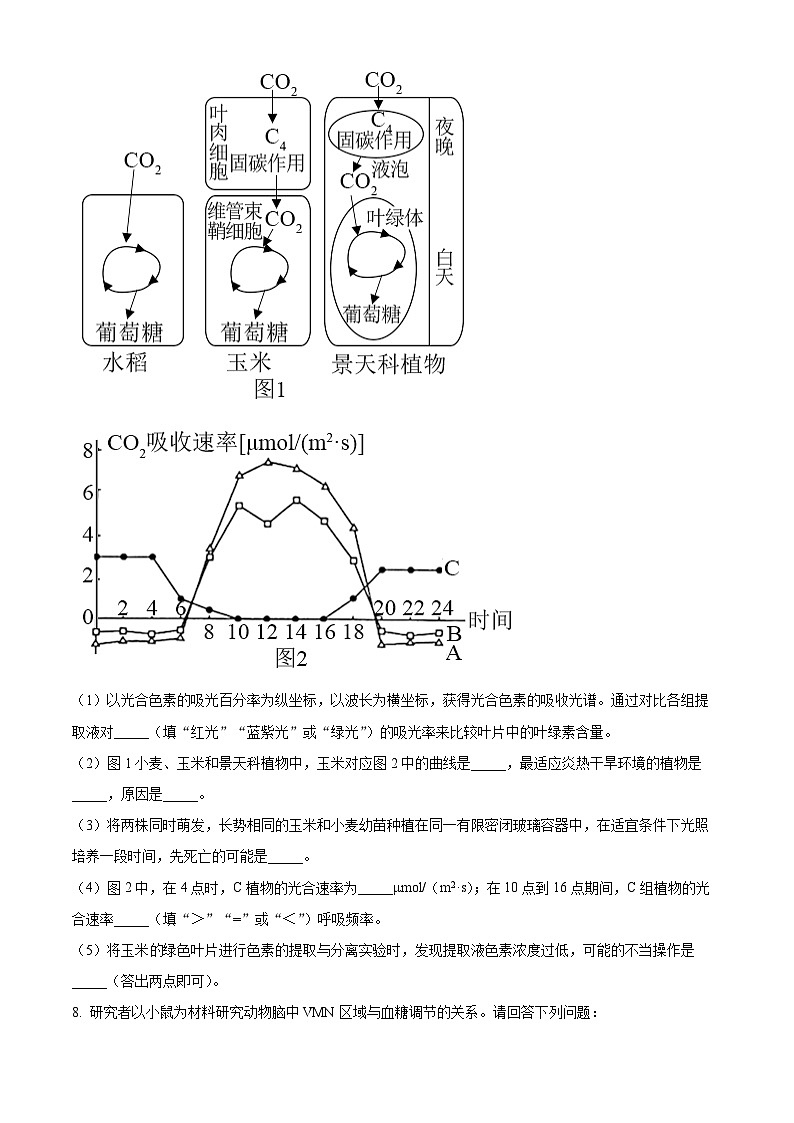 2024届河南省新高考联盟高三下学期模拟预测理综试题-高中生物(原卷版+解析版)03