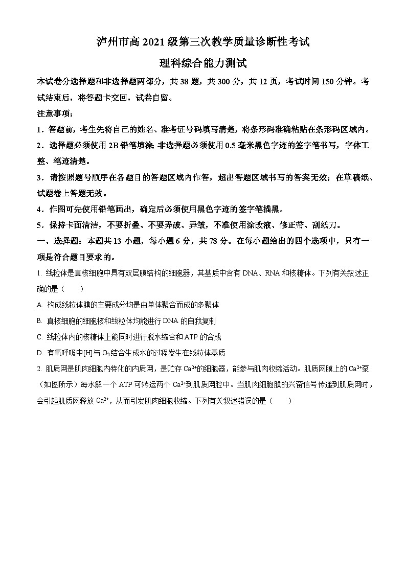 2024届四川省泸州市高三下学期三模理综试题-高中生物(原卷版+解析版)01