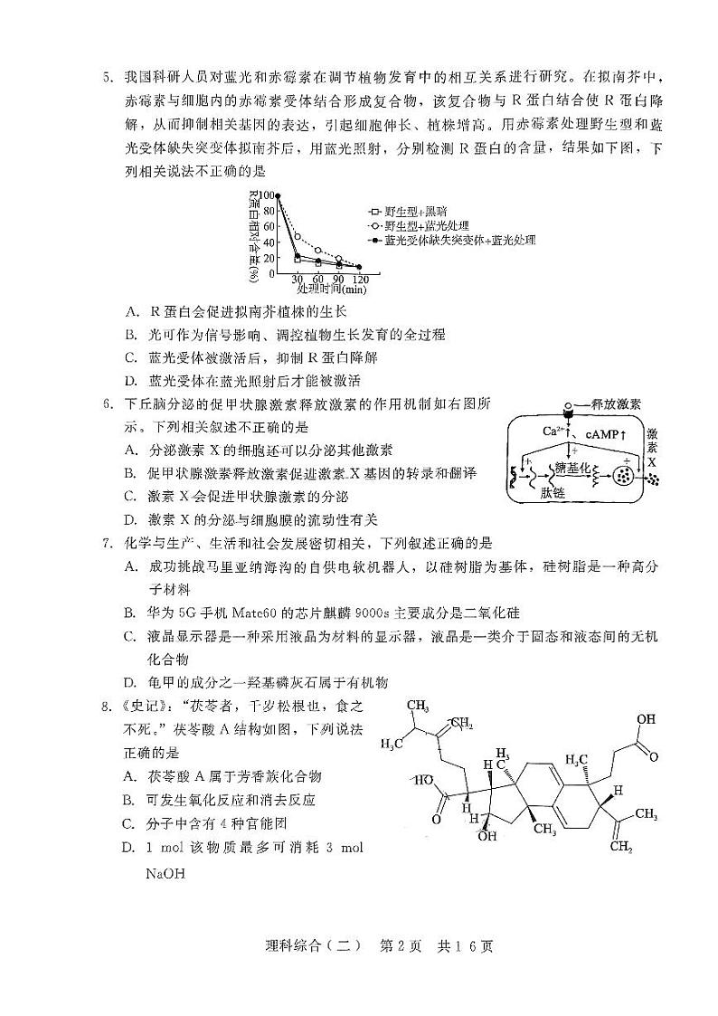 2024届陕西省西安市第一中学高三下学期4月模拟押题(二)理综试题第2页