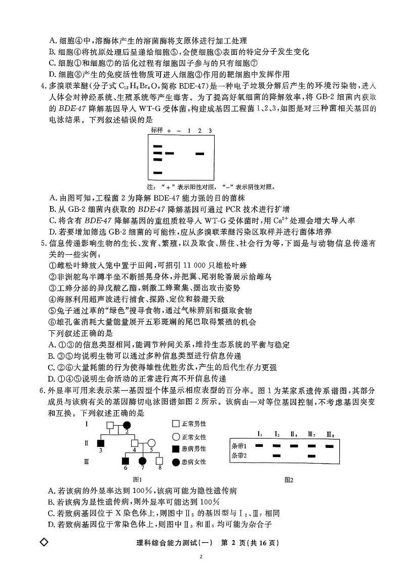 河北衡水名师卷2024届高三下学期高考模拟压轴卷(一)理综 PDF版含解析第2页