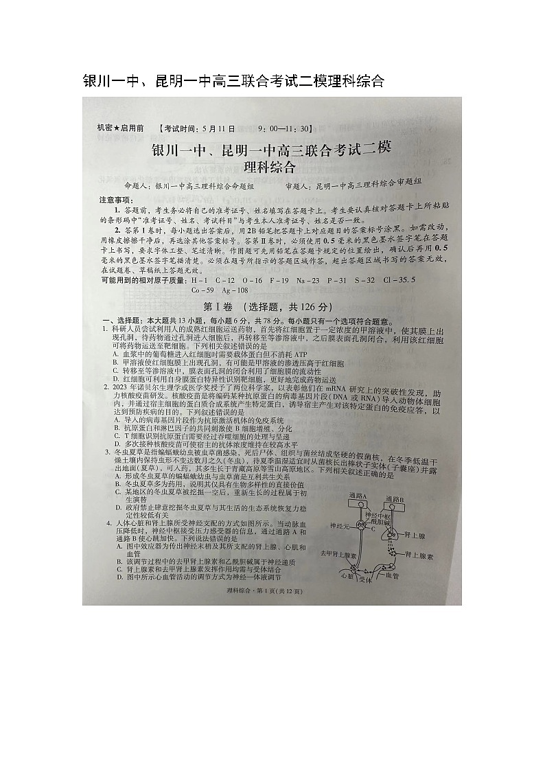 宁夏回族自治区银川一中、昆明一中高三下学期5月二模联合考试理科综合试题01