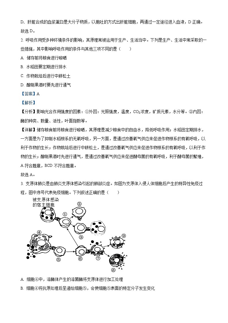 2024届河南省三门峡部分名校高三下学期模拟考试理科综合试题-高中生物(解析版)第2页