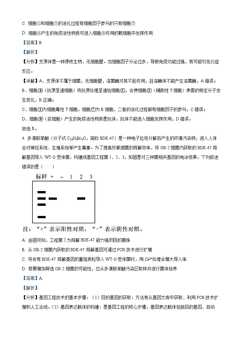 2024届河南省三门峡部分名校高三下学期模拟考试理科综合试题-高中生物(解析版)第3页