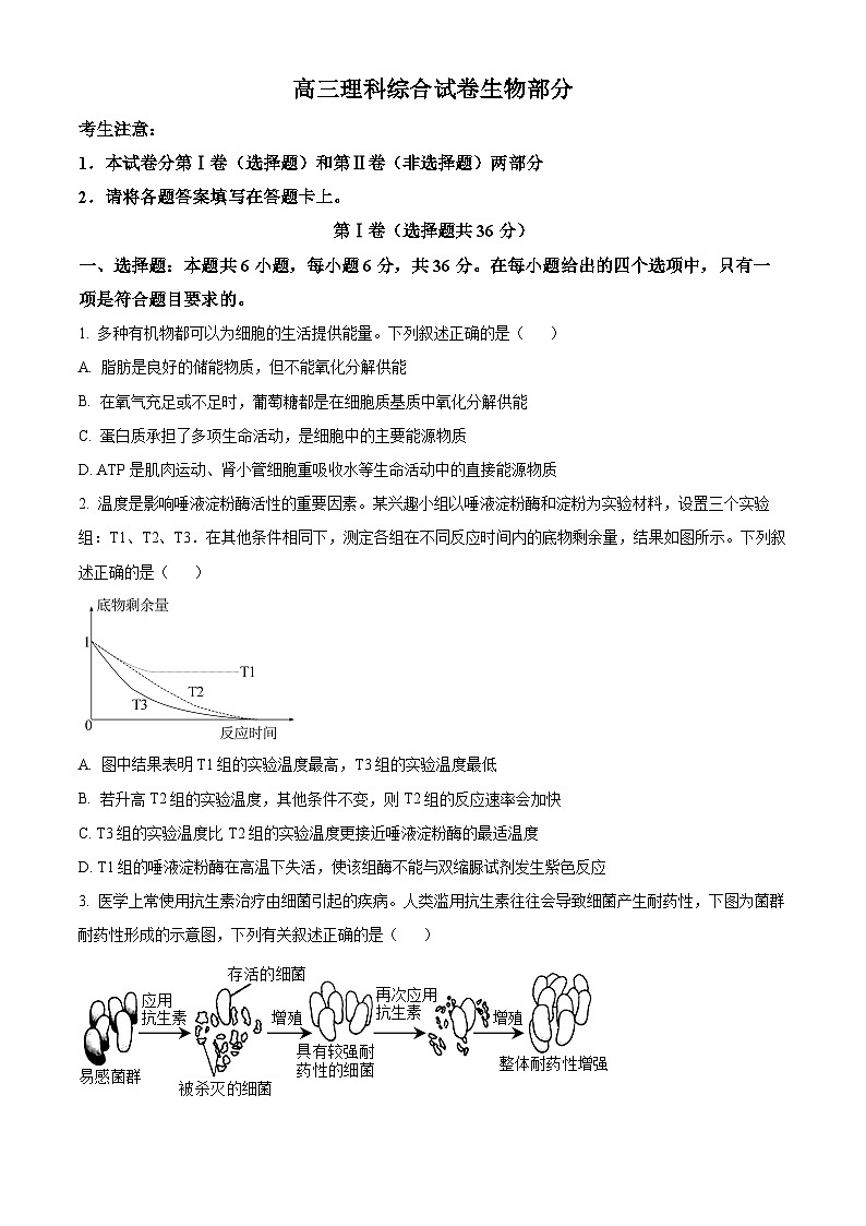 2024届青海省部分学校高三下学期模拟考试理综试题-高中生物(原卷版)第1页