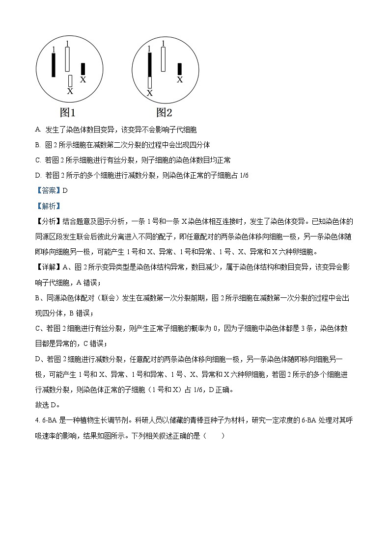 2024届陕西省商洛市高三下学期第五次模拟检测理综试题-高中生物(解析版)第3页