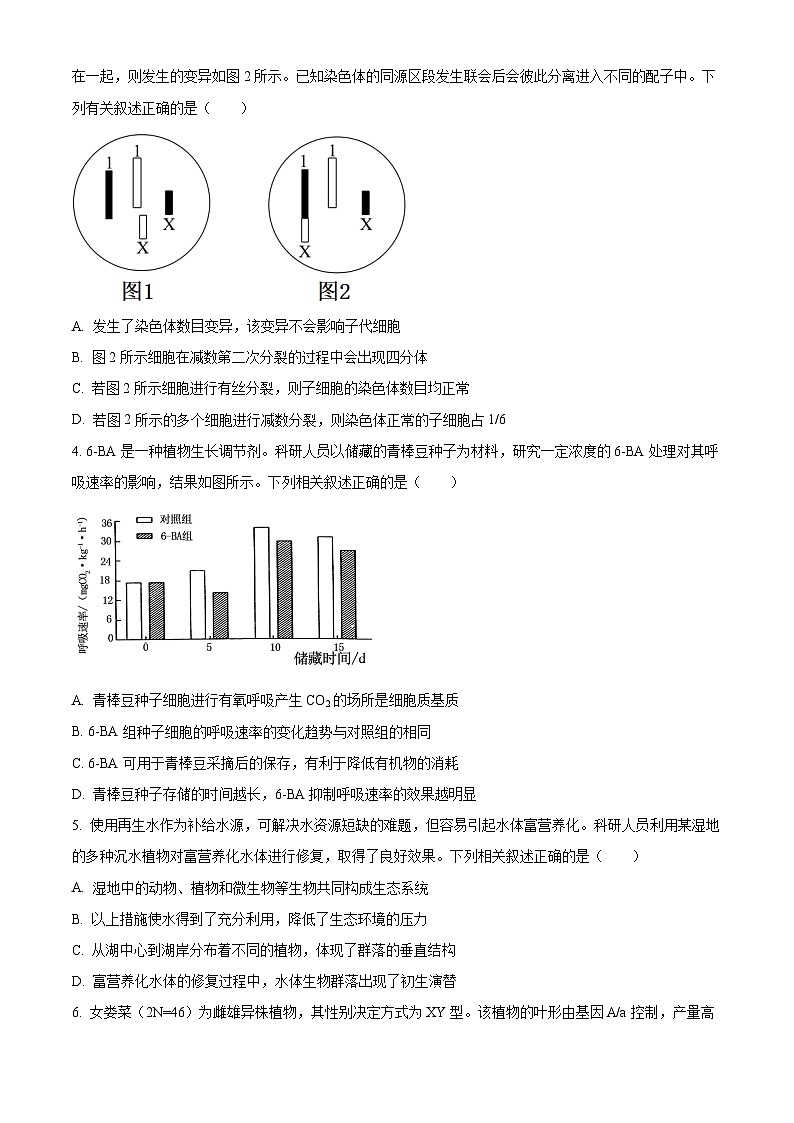 2024届陕西省商洛市高三下学期第五次模拟检测理综试题-高中生物(原卷版)第2页
