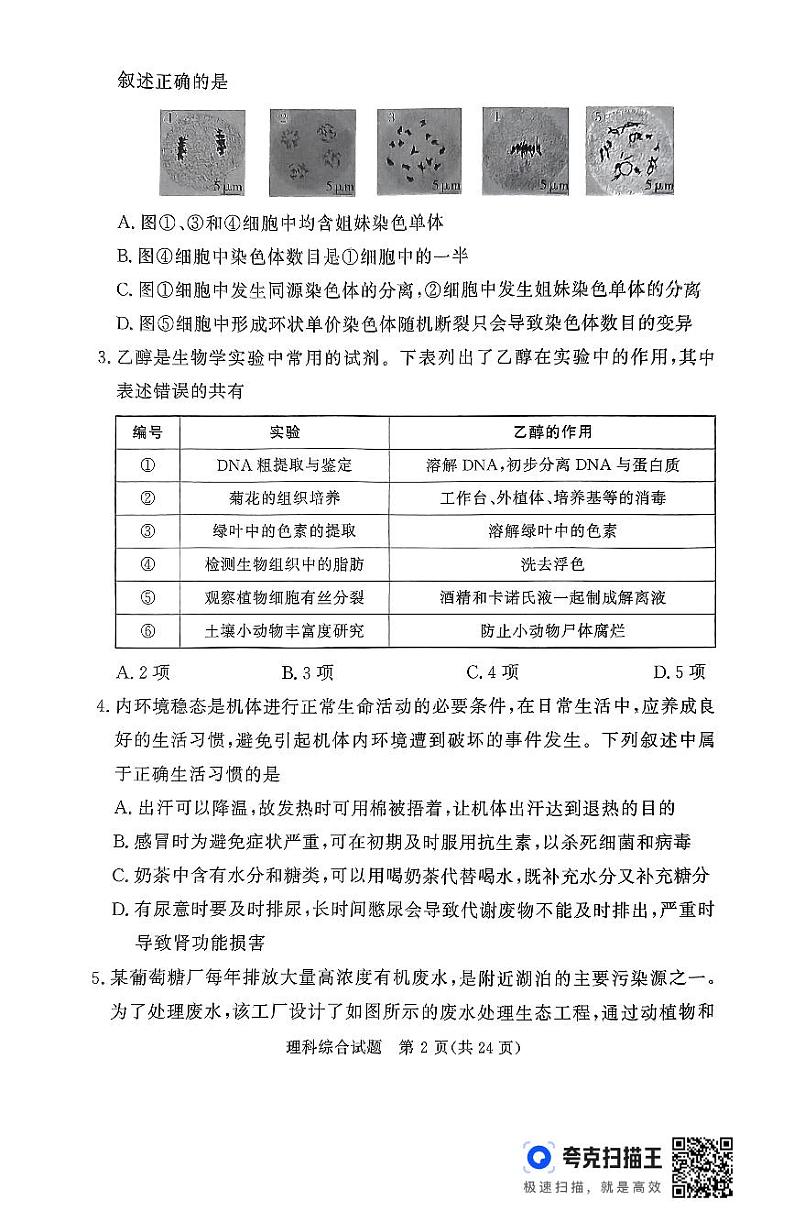 湘豫名校联考2024届高三下学期第四次模拟考试理综试卷(PDF版附解析)第2页