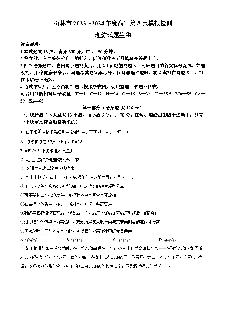 2024届陕西省榆林市高三第四次模拟理综试题-高中生物(原卷版)第1页