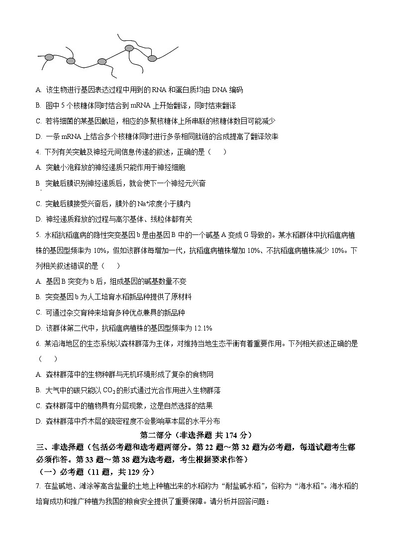2024届陕西省榆林市高三第四次模拟理综试题-高中生物(原卷版)第2页