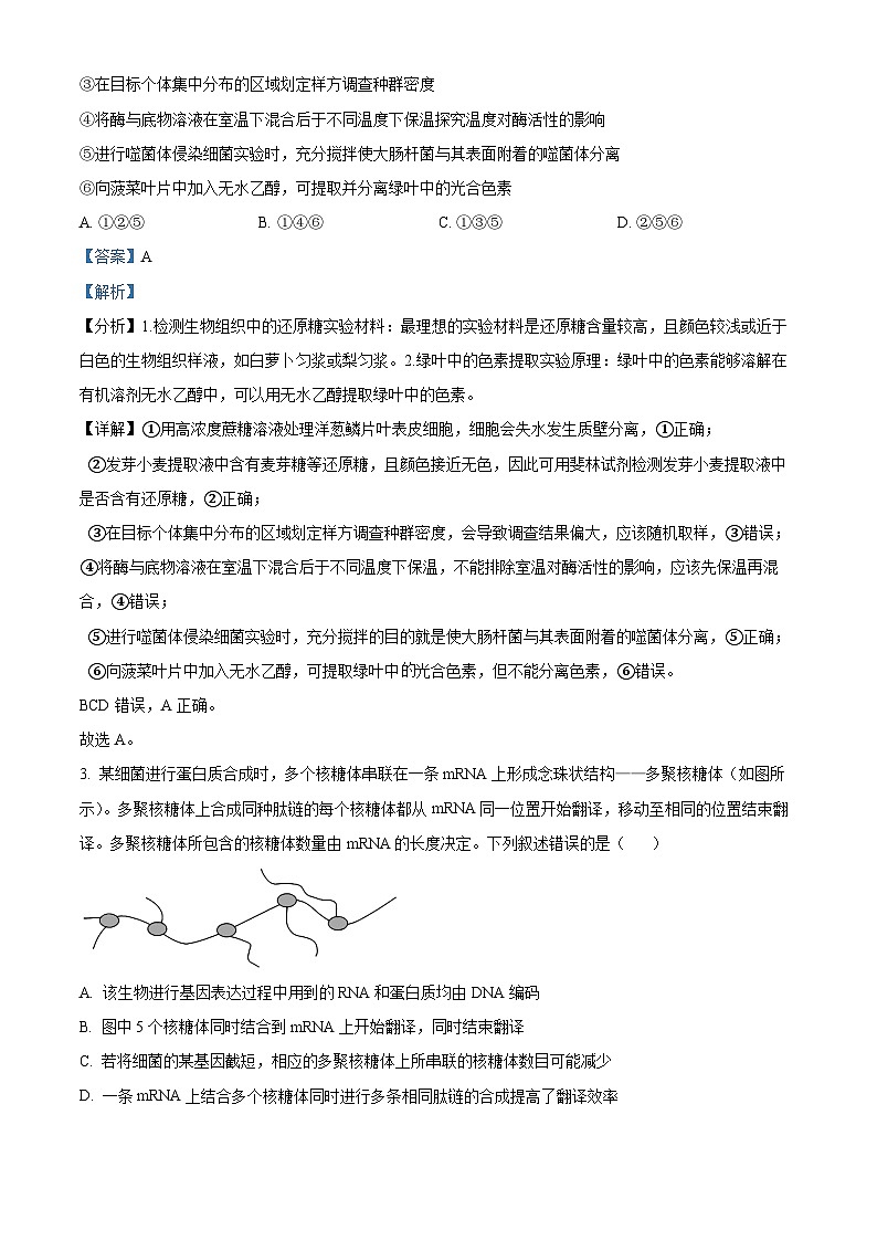 2024届陕西省榆林市高三第四次模拟理综试题-高中生物(解析版)第2页