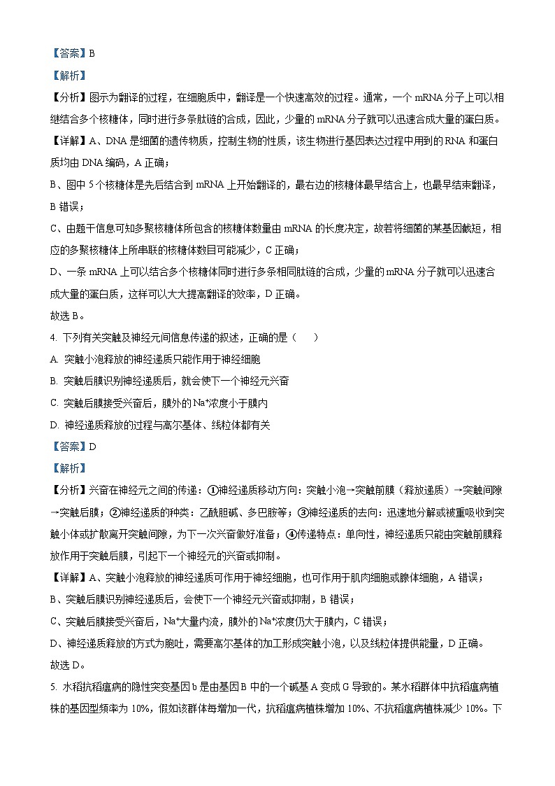 2024届陕西省榆林市高三第四次模拟理综试题-高中生物(解析版)第3页