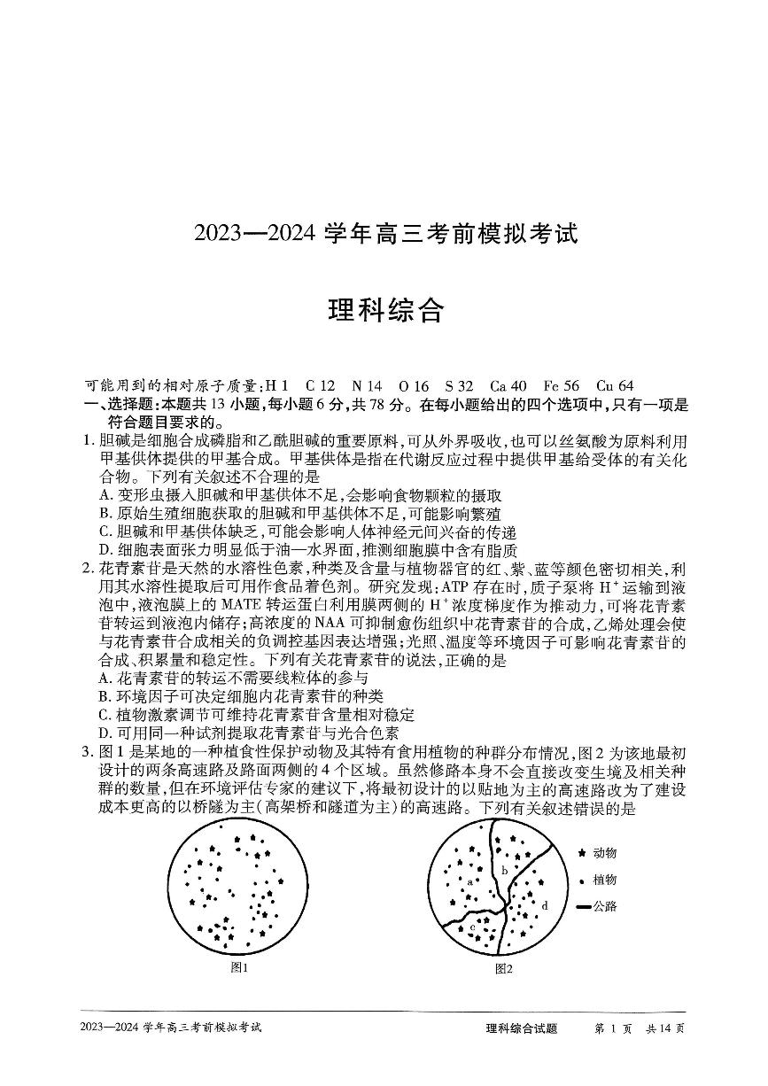 2024年天一大联考高三5月考前模拟理综试题