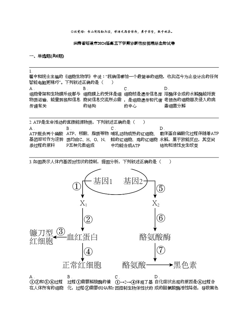 云南省昭通市2024届高三下学期诊断性检测理综生物试卷第1页