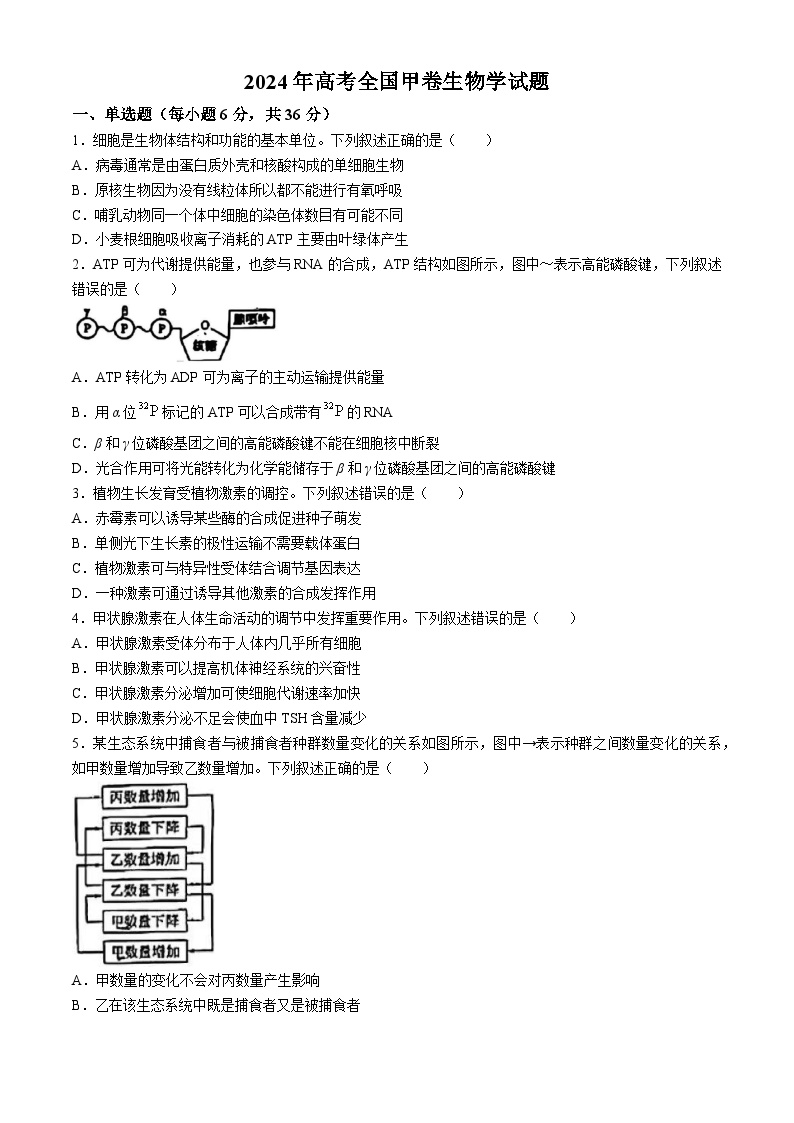 2024年全国甲卷理综生物高考真题试卷(无答案)