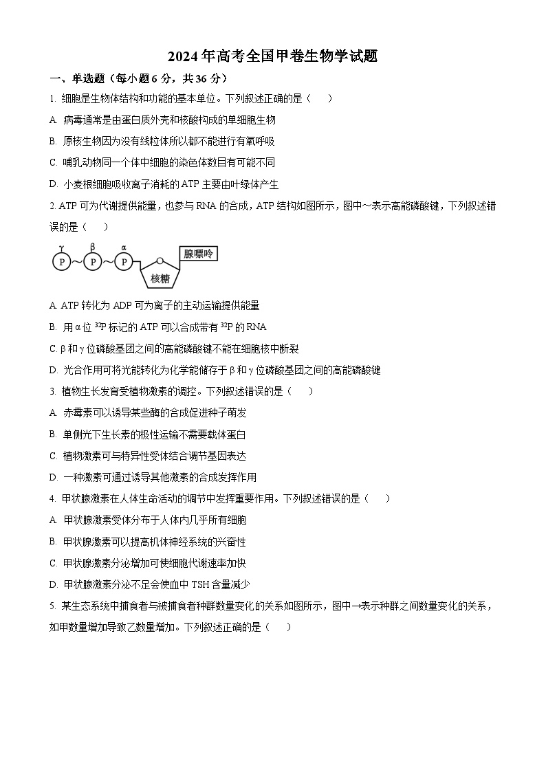 2024年高考真题：全国甲卷理综生物高考试卷试卷（原卷版）