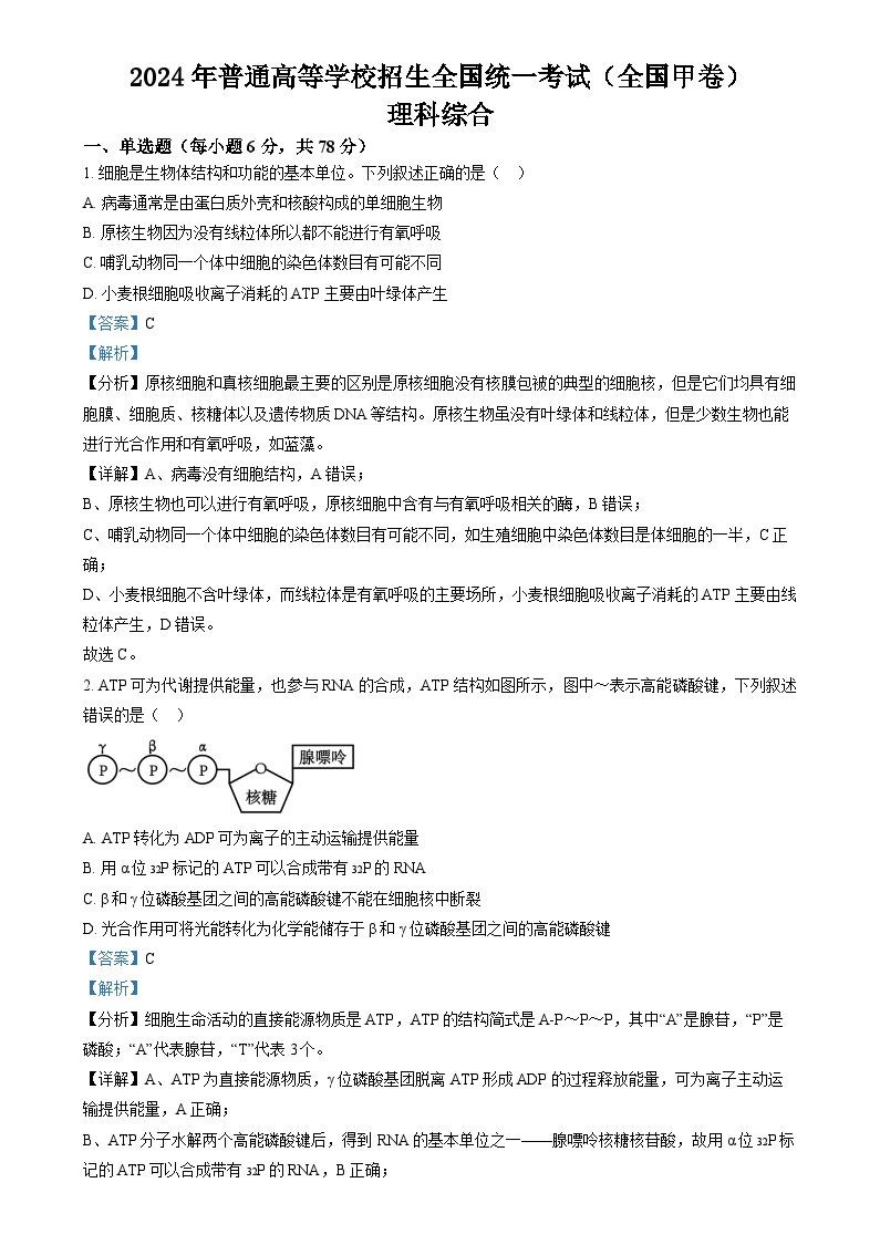 2024年高考真题——理综（全国甲卷）试题（Word版附解析）