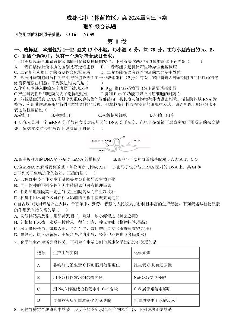 四川省成都市第七中学2024届高三考前模拟考试 理综 含答案01