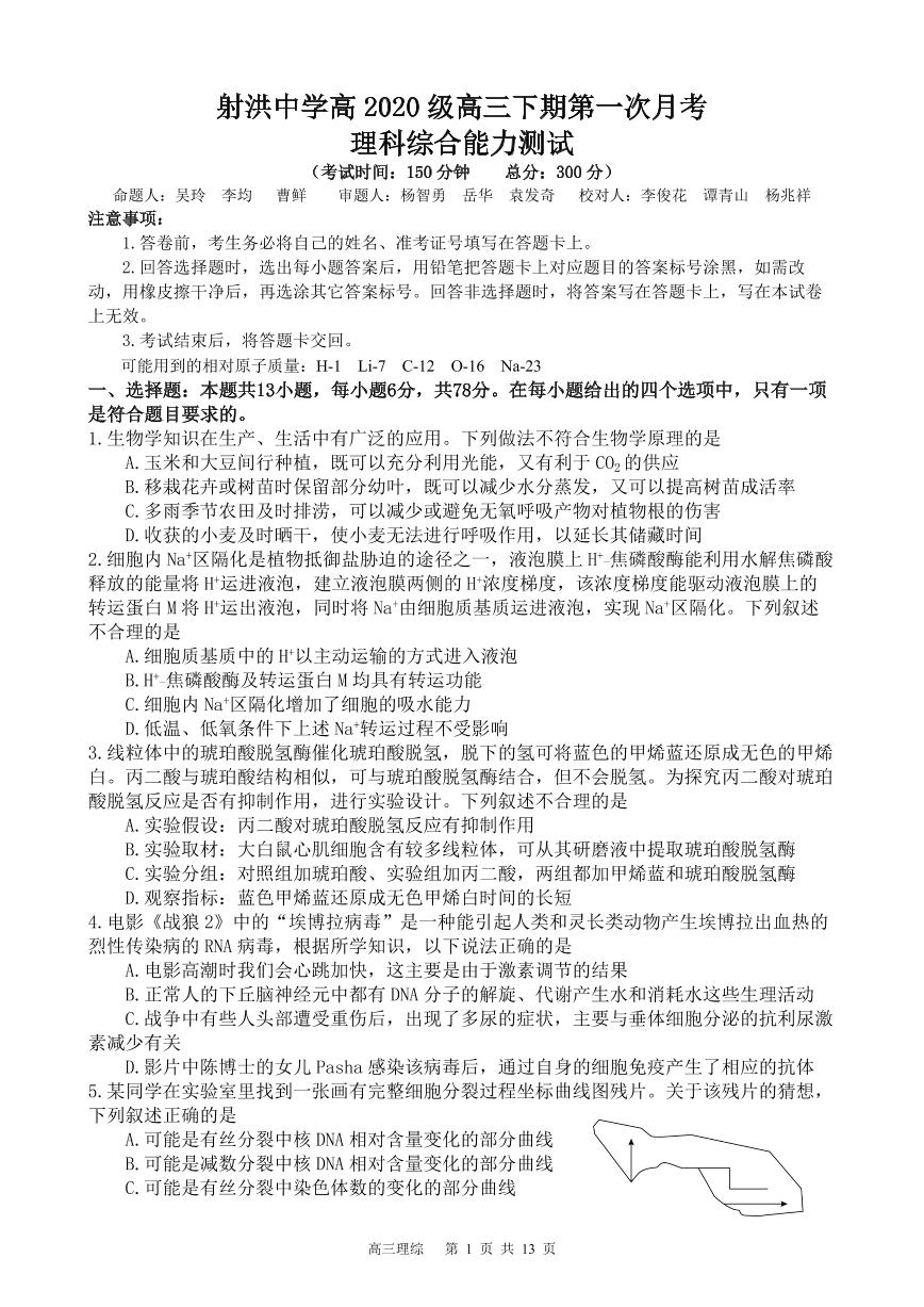 四川射中高三（月考）-理综试题附答案