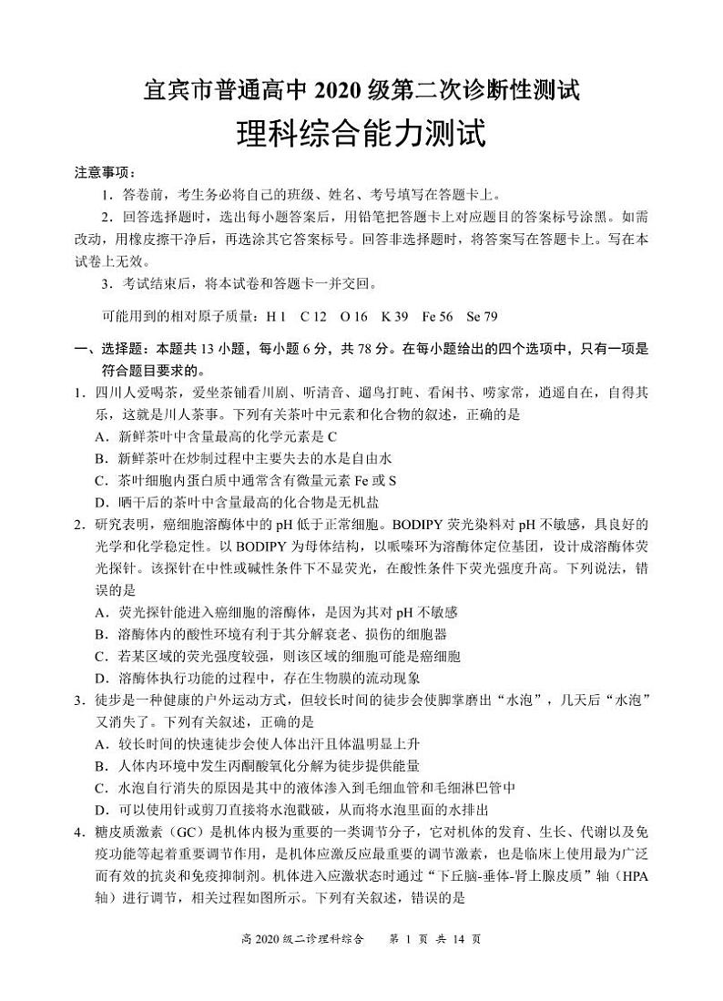 四川宜宾高三高考模拟考试理综试题+答案第1页