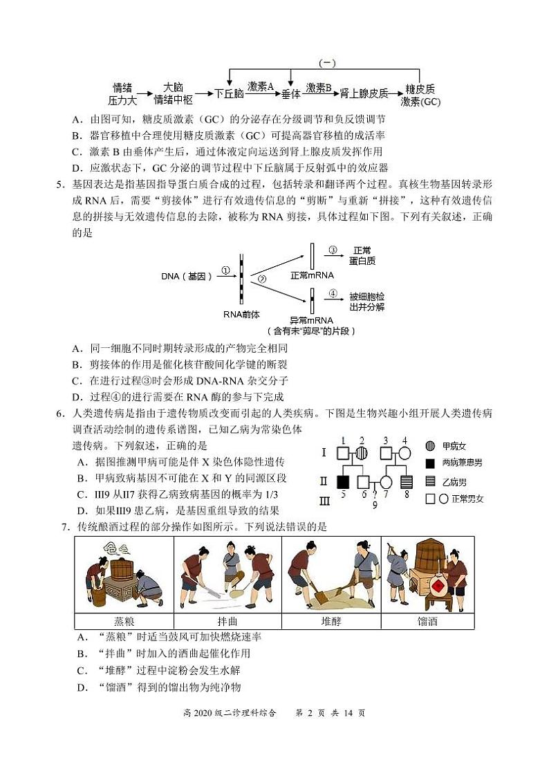 四川宜宾高三高考模拟考试理综试题+答案第2页