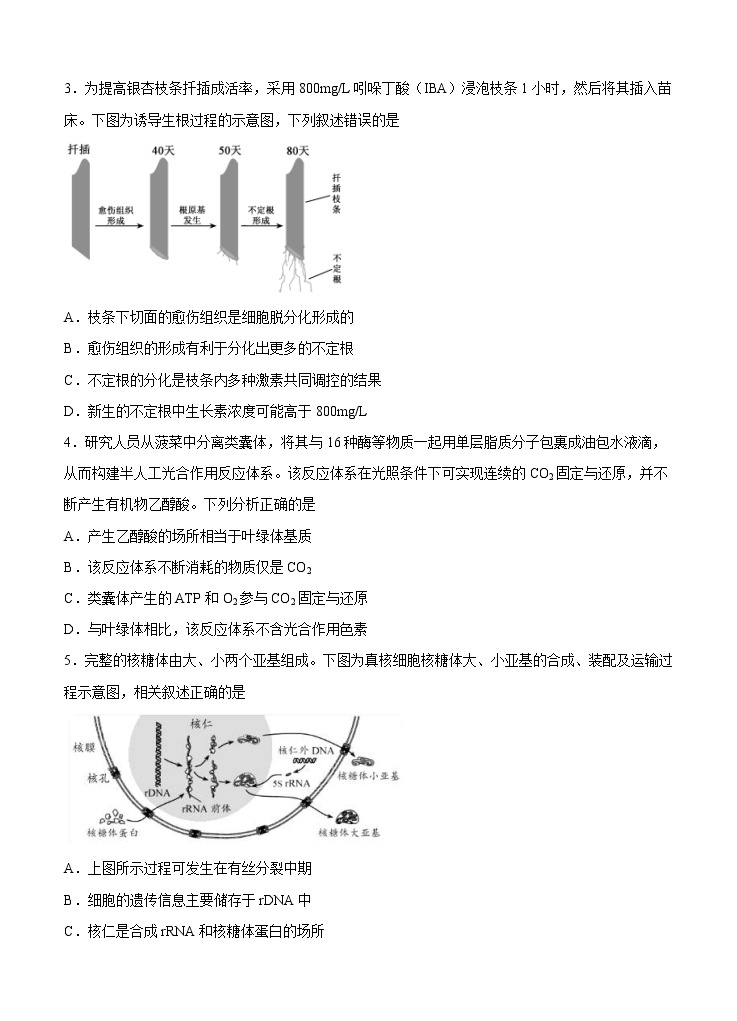 四川省棠湖中学2021届高三上学期开学考试 理科综合（word版含答案）02