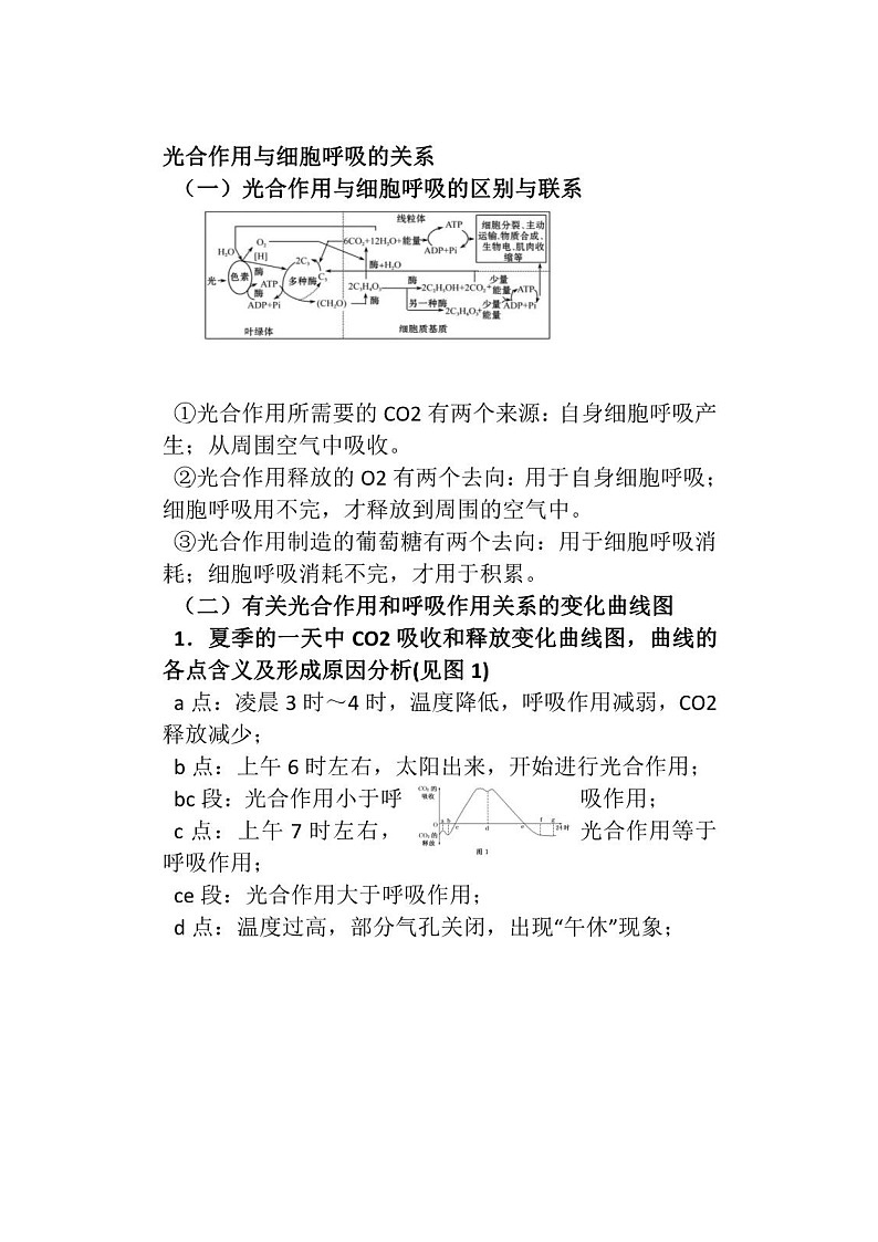 【生物】光和作用详解×光合作用与细胞呼吸的关系第1页