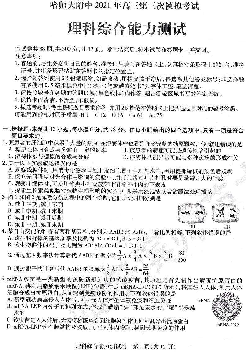 2021年5月哈师大附中东北三省三校三模理综及答案 试卷01