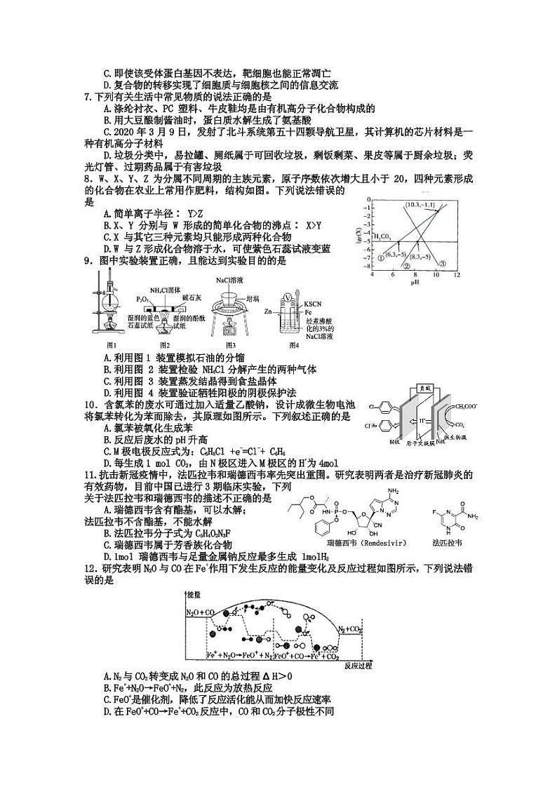 2021届四川省射洪市高三下学期5月高考考前模拟测试理科综合试题第2页