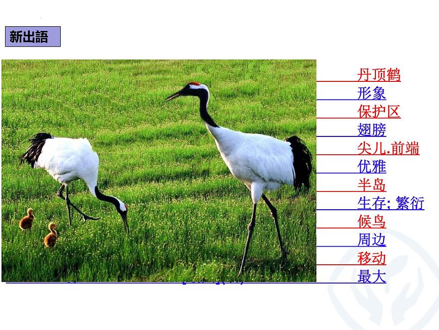 第8課 タンチョウの保護 課件-2022-2023學(xué)年高中日語人教版選擇性必修第一冊第6頁