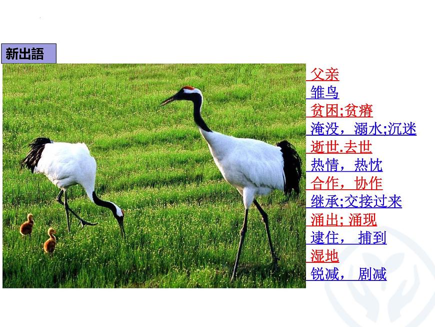 第8課 タンチョウの保護 課件-2022-2023學(xué)年高中日語人教版選擇性必修第一冊第7頁
