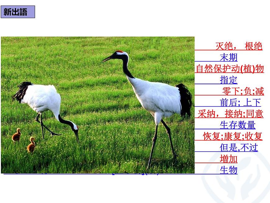 第8課 タンチョウの保護 課件-2022-2023學(xué)年高中日語人教版選擇性必修第一冊第8頁