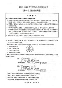2019-2020学年江苏省徐州市高一下学期期末抽测生物试题 PDF版