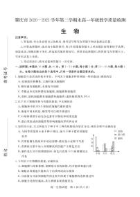 2020-2021学年广东省肇庆市高一下学期期末教学质量检测生物试题 PDF版