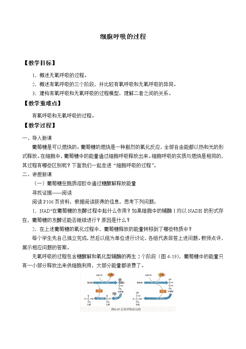 北师大版（2019）高中生物必修一 4.3.2细胞呼吸的过程  教案01