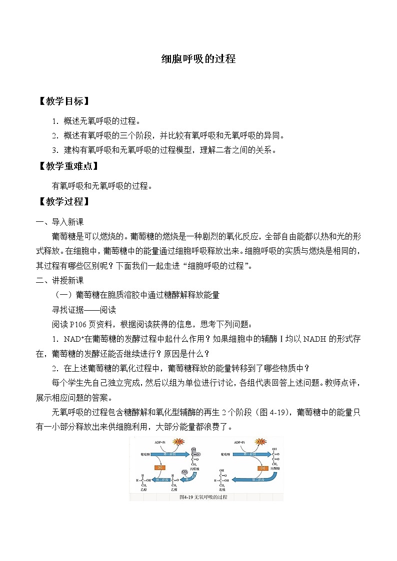 北师大版(2019)高中生物必修一 4.3.2细胞呼吸的过程  教案第1页