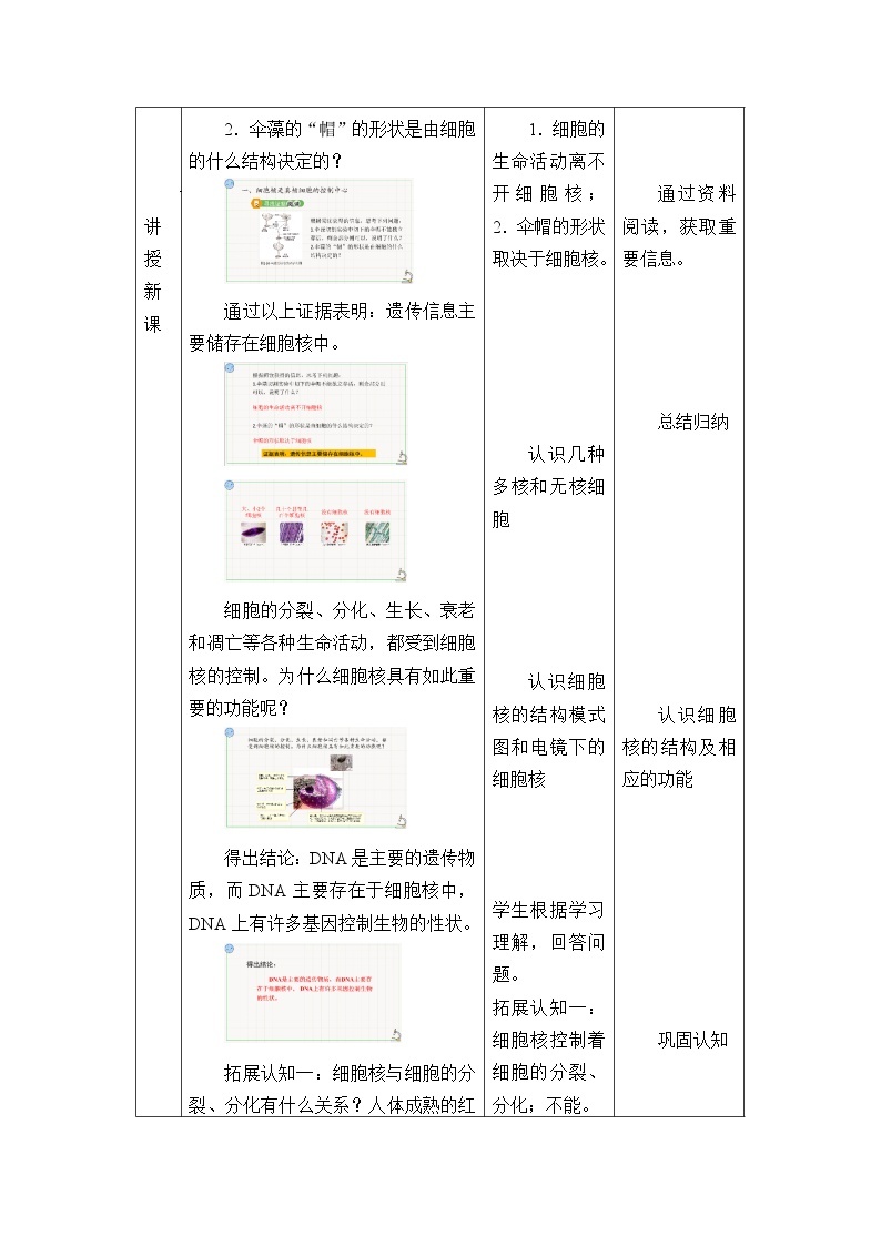 北师大版（2019）高中生物必修一 2.3细胞核  教案02